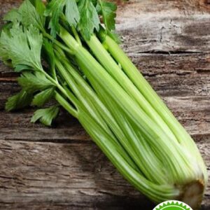 بذر گیاه کرفس