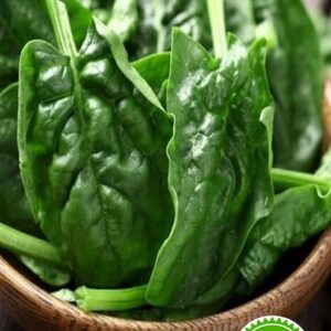 بذر اسفناج معمولی